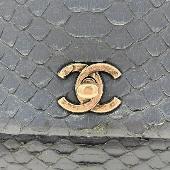 Chanel Blue Mini Python Coco Handle Bag - Picture 6 of 16